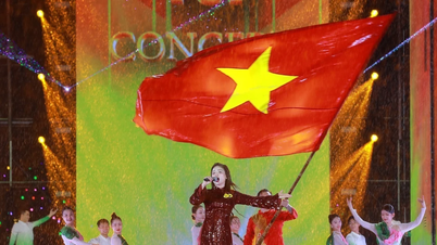 Concert 'Việt Nam trong tôi': Khán giả quyên góp 4,2 tỷ cho đồng bào miền Trung