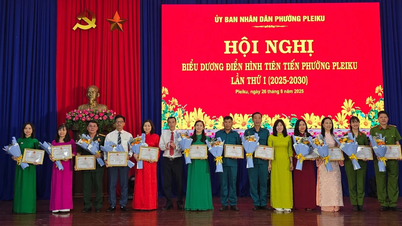Pleiku Ward សរសើរសមូហភាព និងបុគ្គលកម្រិតខ្ពស់ធម្មតាចំនួន 69