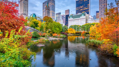Top 5 địa điểm du lịch mùa thu New York: Sự quyến rũ của thành phố sôi động nhất nước Mỹ