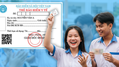 What is the level of health insurance support for students in the new school year?