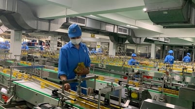 Quyết tâm thực hiện mục tiêu tăng trưởng kinh tế