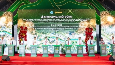 Launching the first project in Da Nang Free Trade Zone
