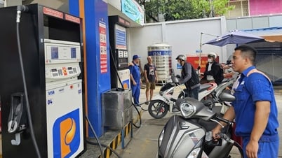 2026年からはE10ガソリンのみが販売され、2031年からはE15ガソリンが義務付けられます。