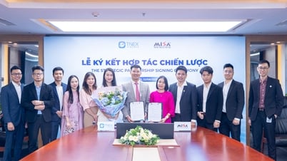 MISA와 TNEX Finance, 디지털 금융 생태계 확장 위한 전략적 협력 계약 체결