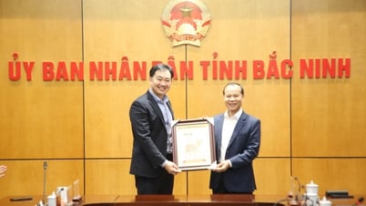 Lãnh đạo tỉnh Bắc Ninh tiếp Đoàn công tác Hiệp hội Công nghiệp bán dẫn Singapore đến tìm hiểu cơ hội hợp tác đầu tư