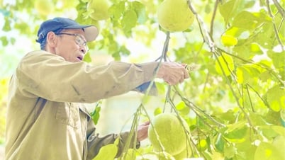 To help agriculture overcome the "stagnant" threshold