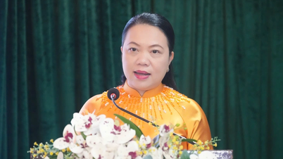 ទីក្រុងហូជីមិញបង្កើតលក្ខខណ្ឌអំណោយផលសម្រាប់ជនជាតិវៀតណាមនៅឯបរទេស ត្រលប់មកបណ្តាក់ទុន ផលិត និងធ្វើអាជីវកម្ម។
