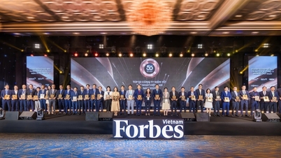 Mobile World Group (MWG) Honored by Forbes Vietnam in the Top 50 Best Listed Companies 2025