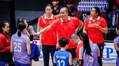 Esperando el hermoso final del equipo de voleibol femenino vietnamita en el torneo mundial