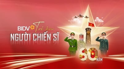 Launching the special program '80 years - Gratitude to soldiers'