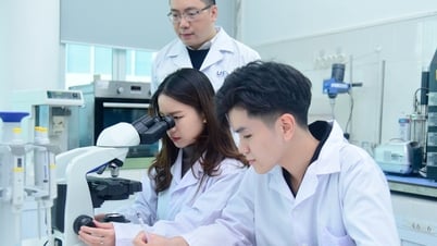 大学は人材獲得のため、研究費として15～30億ドンを支援