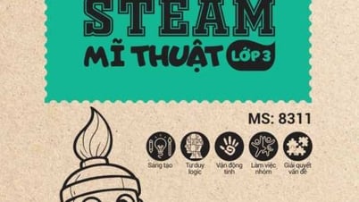 Bộ STEAM Lớp 3