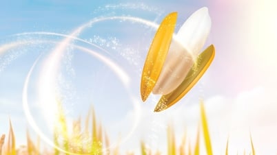 Advantages that help Vietnamese people easily access heart-healthy cooking oil