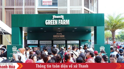 Mỗi ngày, thương hiệu dẫn đầu ngành sữa đang đóng góp cho ngân sách Nhà nước hơn 12,5 tỷ đồng