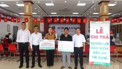 Pay over 155 million VND to customers participating in Credit Security insurance