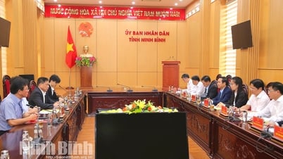 Der Vorsitzende des Volkskomitees der Provinz, Pham Quang Ngoc, empfing und arbeitete mit AUO Vietnam Co., Ltd.