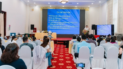 Update new knowledge on examination and evaluation process of strabismus and eye movement