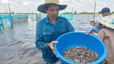 There are not many aquatic products in the flood season.