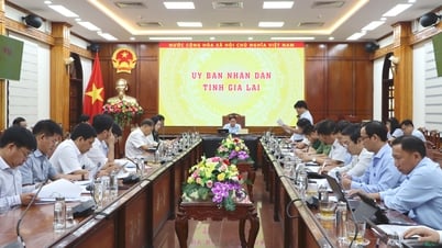 Gia Lai deploys measures to promote prevention of IUU fishing
