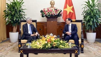 17th Vietnam-Singapore Political Consultation