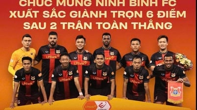 Ninh Binh FC ប្តេជ្ញាបន្តការឈ្នះរបស់ខ្លួនជាមួយក្រុម SHB Da Nang ក្នុងការប្រកួតនៅម៉ោង 6:00 ល្ងាច។ នៅរសៀលថ្ងៃនេះ (២៧ សីហា)។