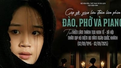 Thưởng thức miễn phí 50 bộ phim Việt Nam đặc sắc tại Triển lãm Thành tựu đất nước