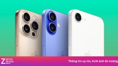 9月初旬にAppleが「販売中止」にする可能性のあるデバイスシリーズ