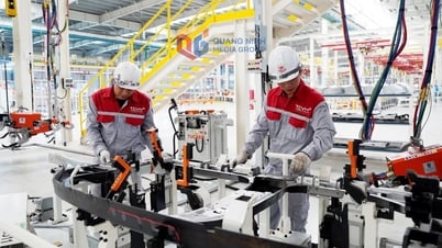 Crecimiento sostenible, creando nuevo impulso