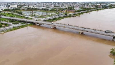 Flood warning on rivers in Hai Phong