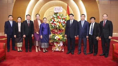 ベトナムはラオス国民の心からの支援を忘れない。
