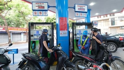 E5ガソリンは市場シェアのわずか21%を占めるに過ぎないのに、なぜ商工省は2026年から鉱物ガソリンを廃止したいのでしょうか？