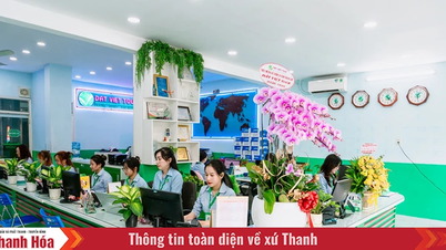 Verbessern Sie Ihr Vietnam-Reiseerlebnis mit Dat Viet Tour