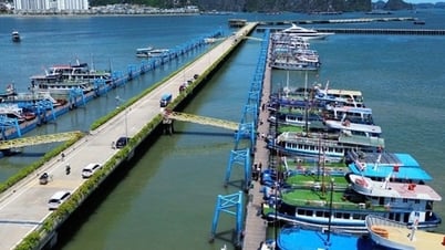 Quang Ninh se esfuerza por convertirse en un centro turístico que conecte la región y el mundo.