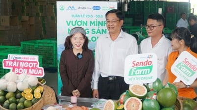 ผลิตภัณฑ์ทางการเกษตรของ Vinh Long ถ่ายทอดสด