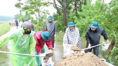 Der Tich-Fluss überschreitet Alarmstufe 3, die Gemeinde Kieu Phu mobilisiert Personal zum Schutz der Wohngebiete