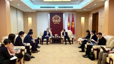 Amazon s'apprête à déployer le projet de satellite Kuiper au Vietnam