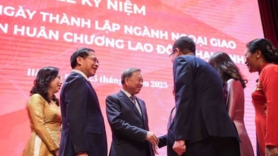 80 Jahre vietnamesische Diplomatie: „Alte Bäume“ beschatten „grüne Triebe“