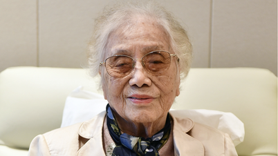 Ich hatte das Glück, Frau Nguyen Thi Binh kennenzulernen.