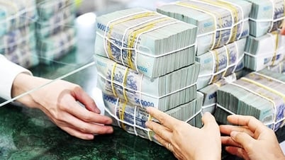 公的債務管理における財務省の権限拡大の提案