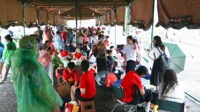 Construir 10 carpas más para atender a las personas que observan desfiles y marchas