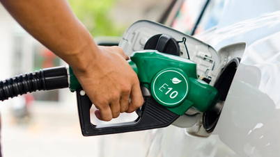 Biofuel: Mandatory or Voluntary?