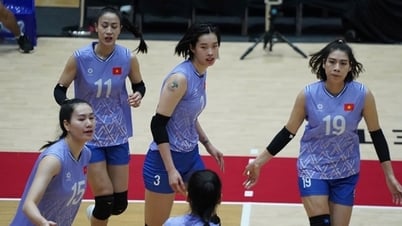 منتخب فيتنام للكرة الطائرة للسيدات والمباراة النهائية على الساحة العالمية