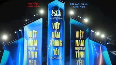 Concert "Vietnam in me" raised 4.2 billion VND to support people in Central Vietnam