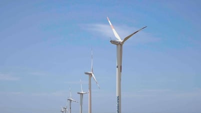 Expectation that “green electricity” will create a foundation for sustainable economic growth
