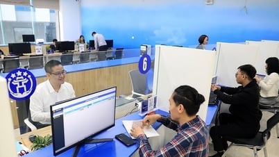 Trước ngày 31-12: