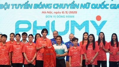 ベトナムのスポーツとオリンピックトップ50への挑戦：世界への到達