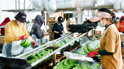 Standardizing growing areas to bring agricultural products far and wide