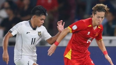 Indonesien beruft nach schmerzhafter Niederlage gegen U.23 Vietnam hastig drei eingebürgerte ausländische Spieler ein