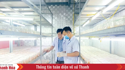 Tertarik untuk melakukan sertifikasi ulang produk OCOP
