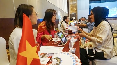 Da Nang and Hue join hands to promote tourism in Malaysia and Indonesia